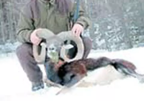 Stoicikov: 'Sunt prea bun si lumea profita de mine'