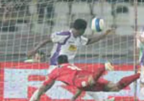 'Cainii' au muscat rau!