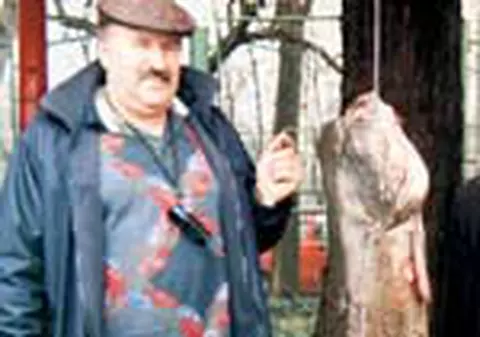 'Monstrii' din lacurile Capitalei