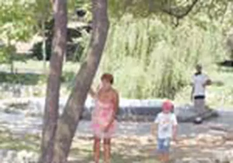 Lacul lebedelor in Cismigiu