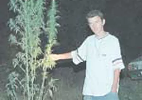 Fiu de politician, traficant de droguri