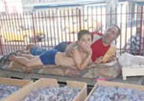 Ei nu vor mai putea vinde in Piata Obor