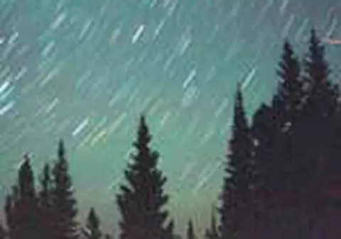 Noaptea in care va ploua cu stele