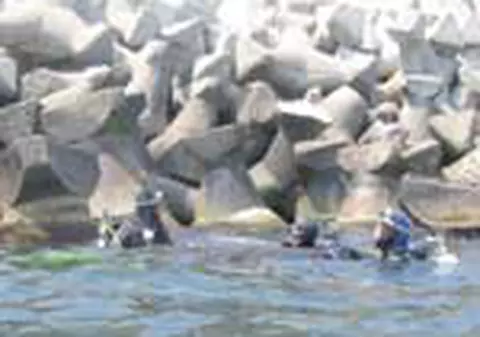 Politistii de sub ape