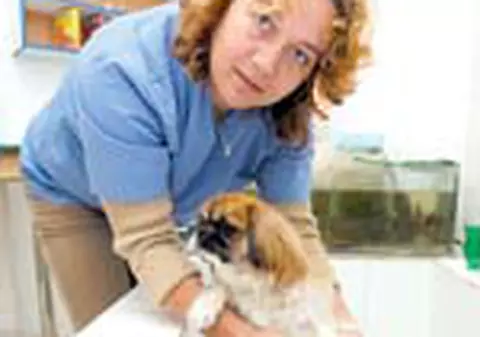 'Cainii adora mirosul de lamaie si menta'