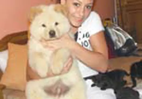 Animalutele Catalinei Ponor