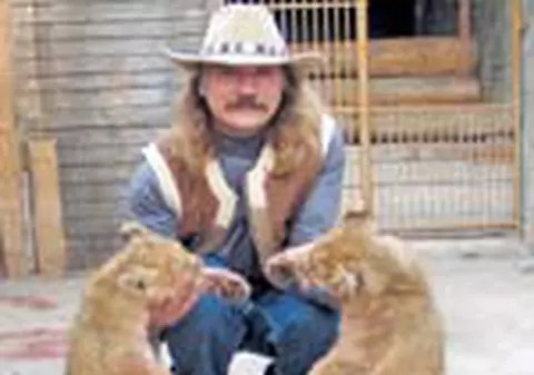 Creste lei in curtea casei