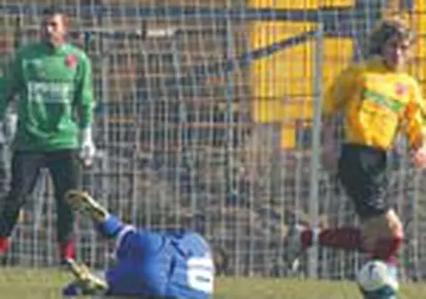 Lobont e seful 'cainilor'