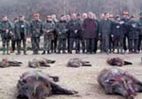 Vanatoare de 400.000 de €