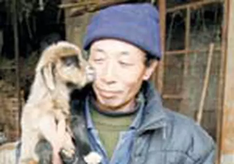 Chinezul cioban are acum 160 de capre