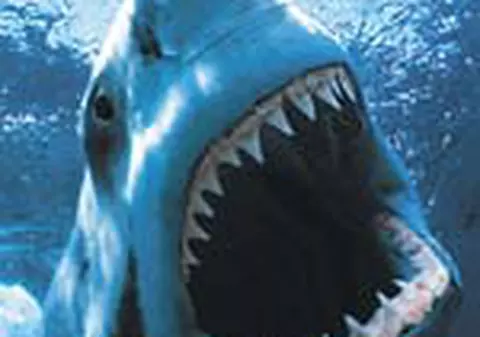 'Am invins rechinul'