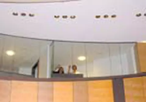 'Ii invata' romaneste pe austrieci