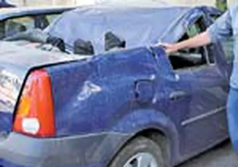 Au scapat cu viata de sub copacul ucigas