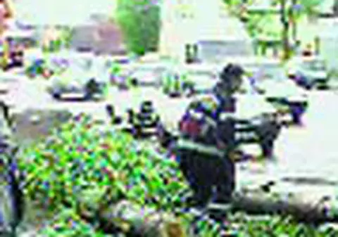 Vijelie cumplita la Miercurea Ciuc