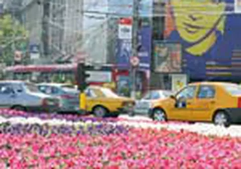 Caldura i-a zapacit ieri pe romani