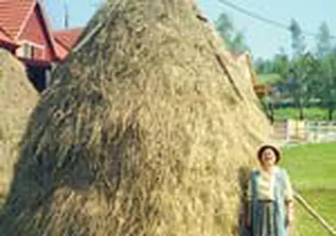 135 lei o vacanta la tara