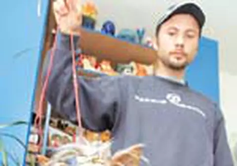 Taxele pentru animale se stabilesc de catre asociatia de proprietari