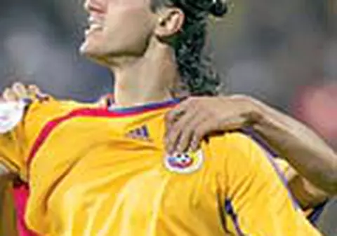 Ciprian Marica, si mai aproape de Stuttgart
