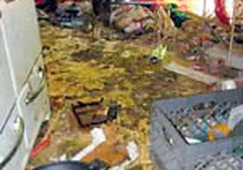 Si-au transformat locuinta in grajd