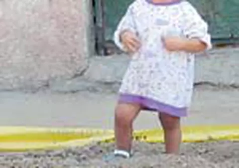 Traiesc printre buldozere 