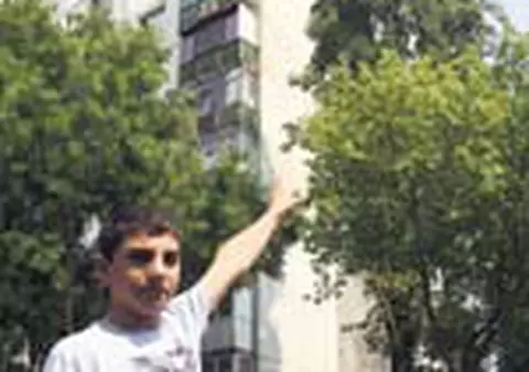 Acestia sunt copacii ucigasi