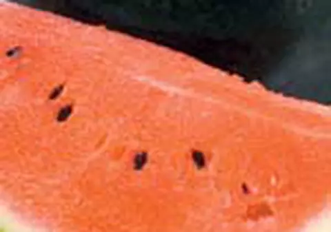 Cura de pepene, sanatate curata