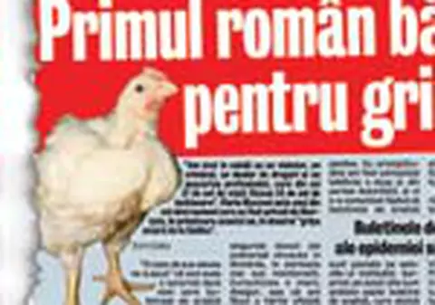 Remes: 'Nu exista dovada gripei aviare'
