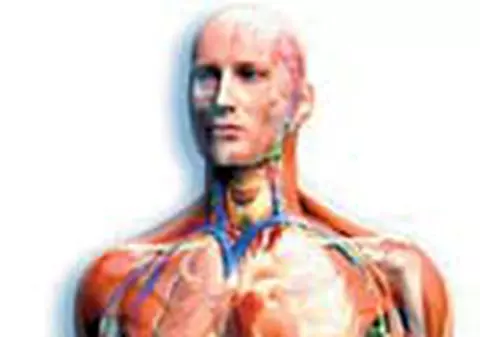 10 milioane &euro;  ne-ar putea ucide