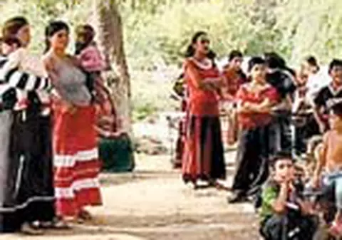 La un pas de razboi pentru piranda Garofita