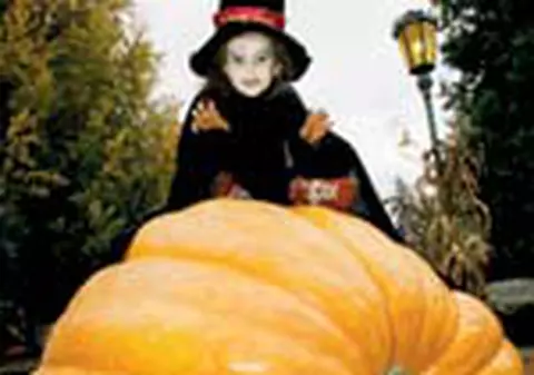 Cum iti petreci noaptea de Halloween?