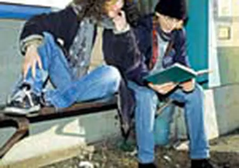 Chiulesc 'pe rupte' la materiile usoare