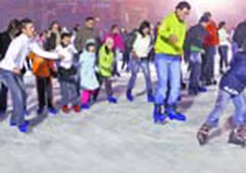 Haideti la patinoar! 