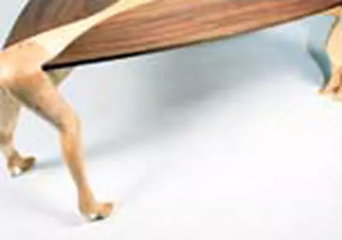 Ati cumpara asa ceva?