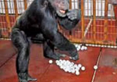 Punem la bataie 777 de bilete la Loto