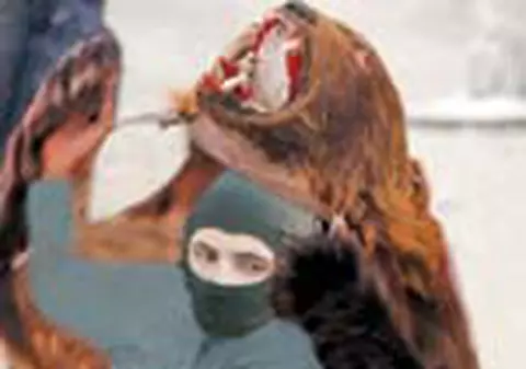 Deghizati in ursi, au filat infractorii