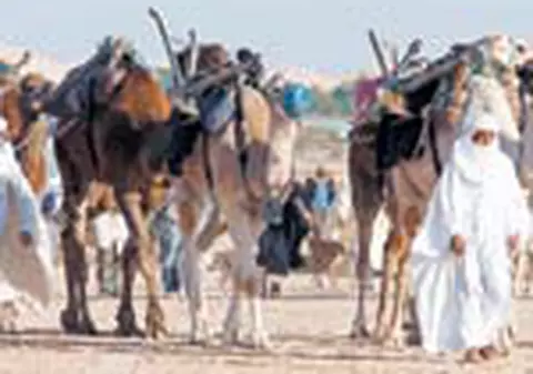 109 euro un sejur in Tunisia