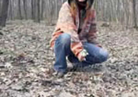 Uite de unde se culeg ghioceii