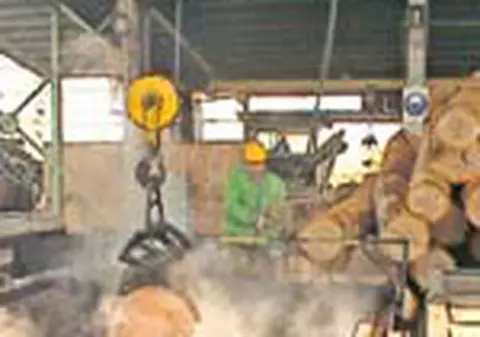 Fac podele pentru Mercedes