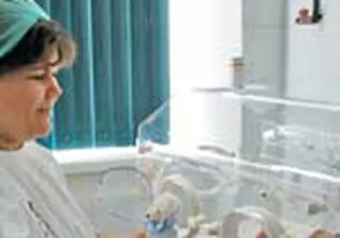 Ursuletii de plus inlocuiesc mamicile 