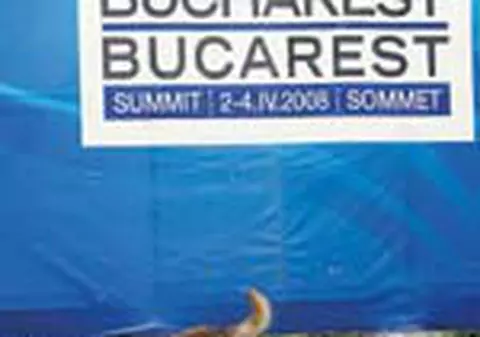 Maidanezii ne fac din nou de ras