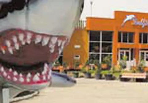 Pazea! Vin rechinii la Delfinariu