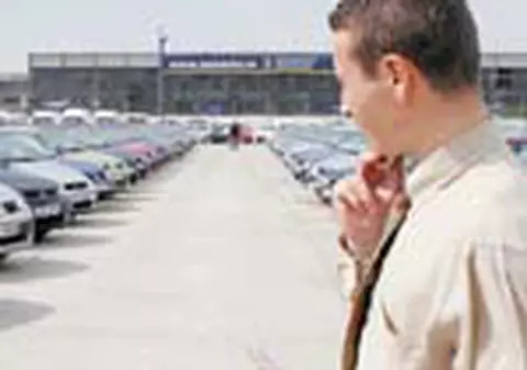 Paznic ucis pentru cirese