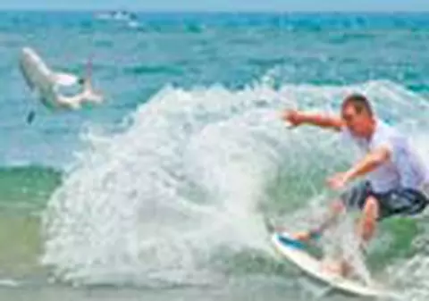 A facut surf alaturi de un rechin!
