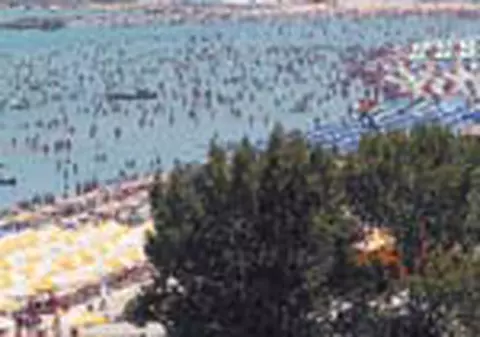 Doua zile fierbem in suc propriu