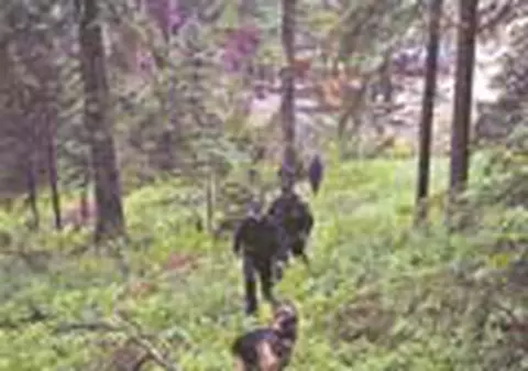 Si noi am cautat-o pe avocata