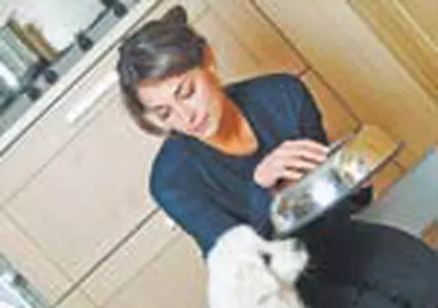 Animalele de companie, trecute la intretinere