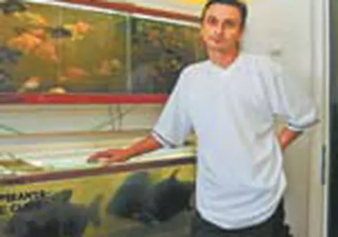 Creste pesti piranha in bucatarie