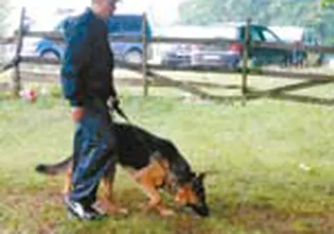 L-a vazut carand cadavrul Elodiei?