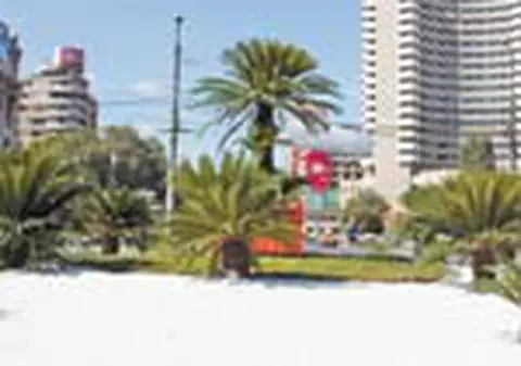 Palmieri in locul ceasului de la Universitate