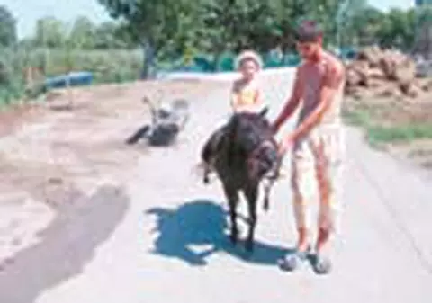 Hai la plimbare cu poneii in Delta!